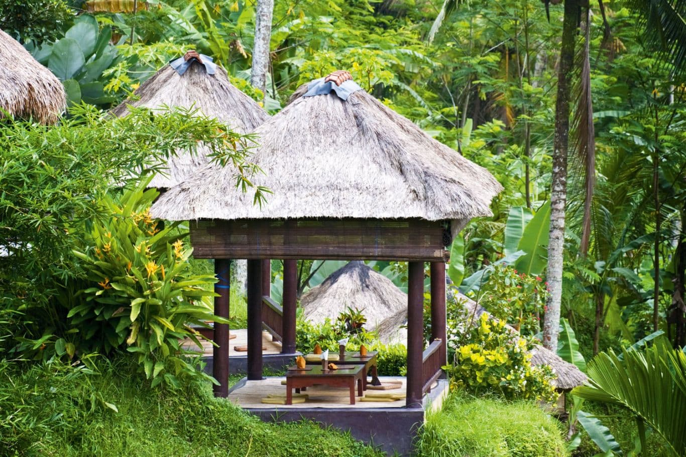 Bali Jungle Flow venue photo 1