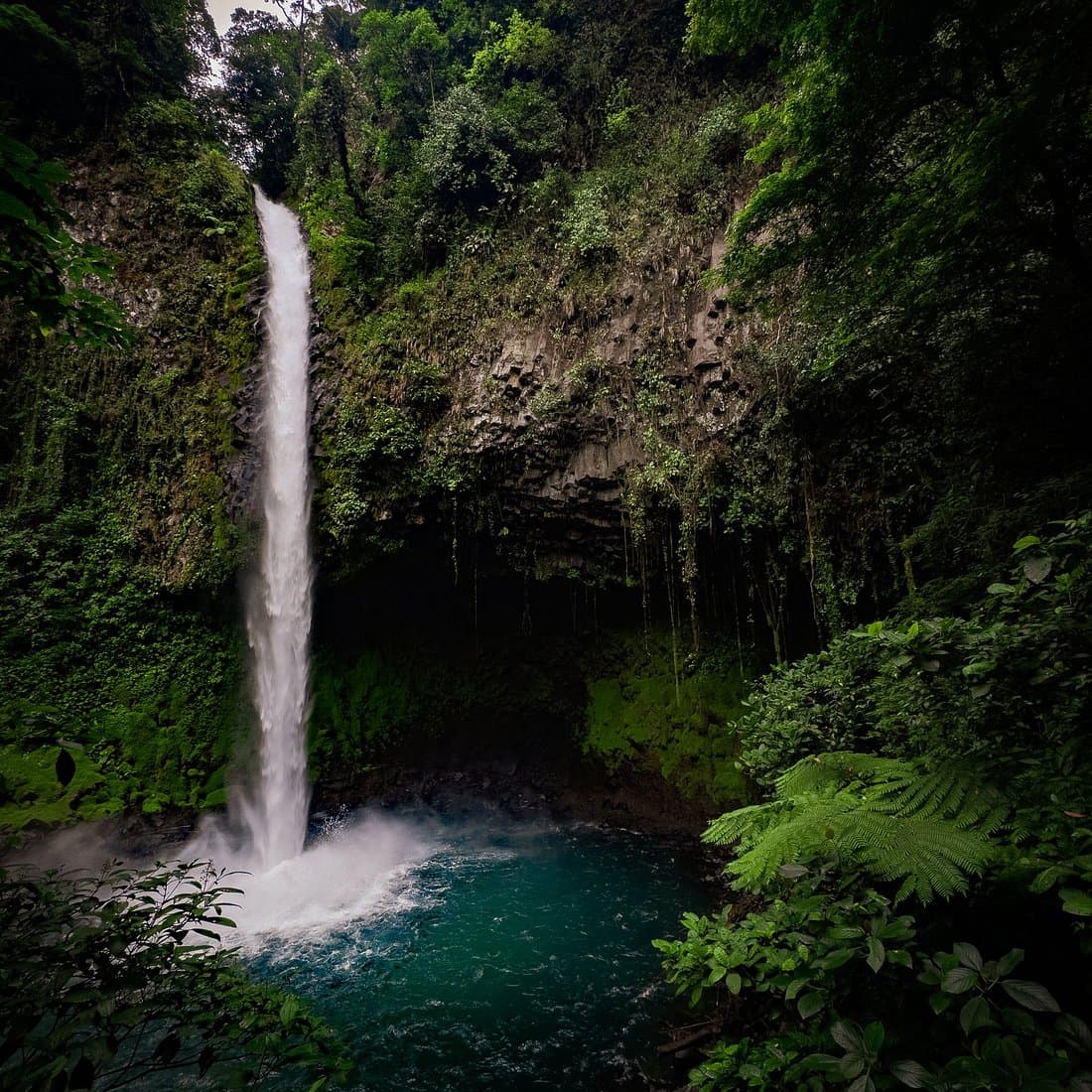 Rainforest Reset venue photo 1